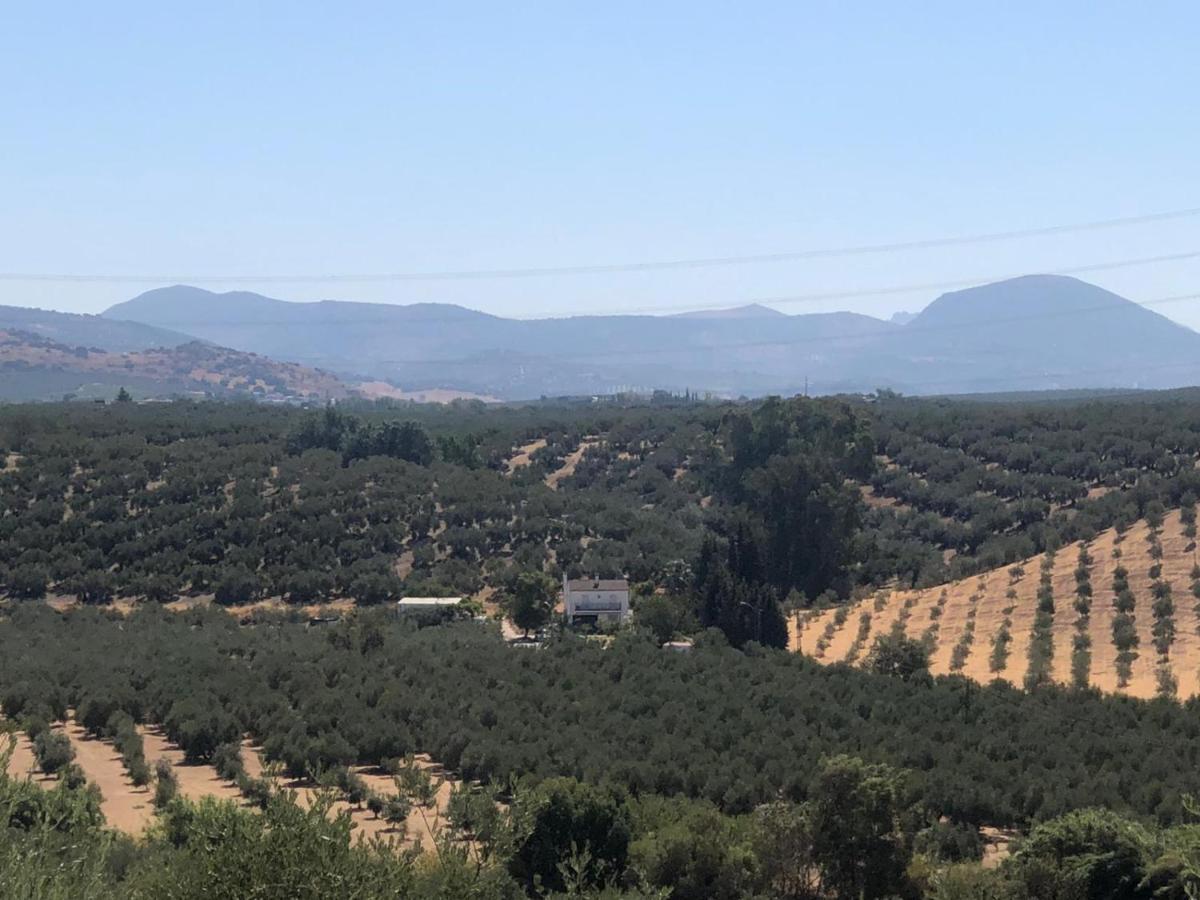 Вілла Cortijo Ribero Кабра Екстер'єр фото